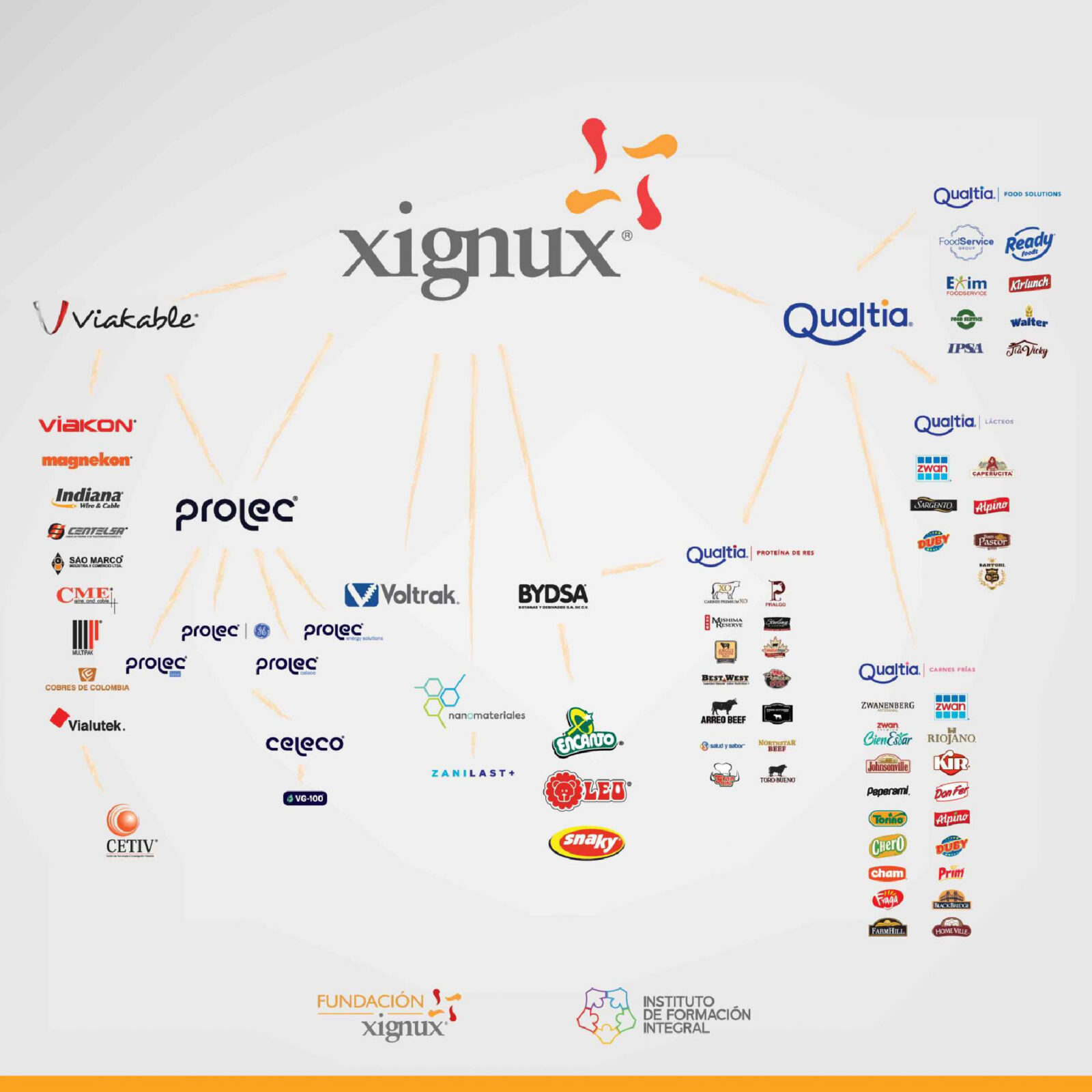 a company tree showing the break down of Xignux's subsidiaries